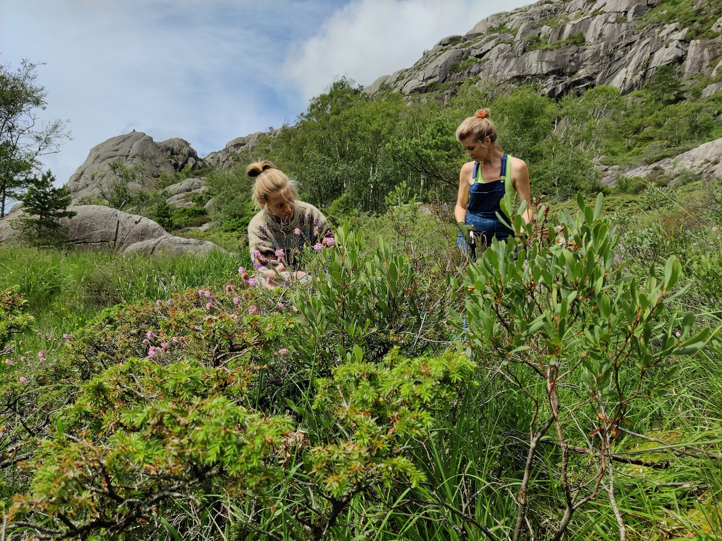 Fra sans til samling - foredling av natur i dråpeform