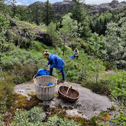 Fra sans til samling - foredling av natur i dråpeform